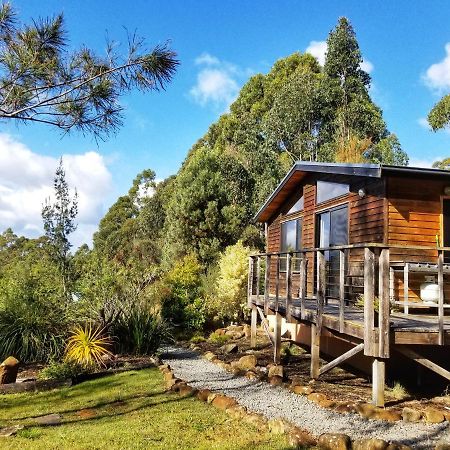 Southern Forest Accommodation Southport Buitenkant foto