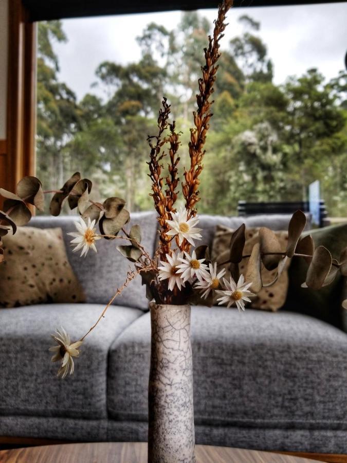 Southern Forest Accommodation Southport Buitenkant foto