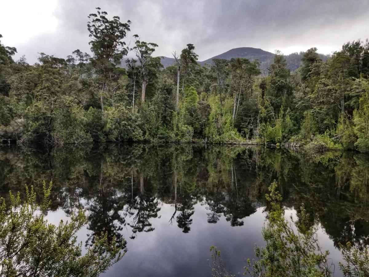 Southern Forest Accommodation Southport Buitenkant foto