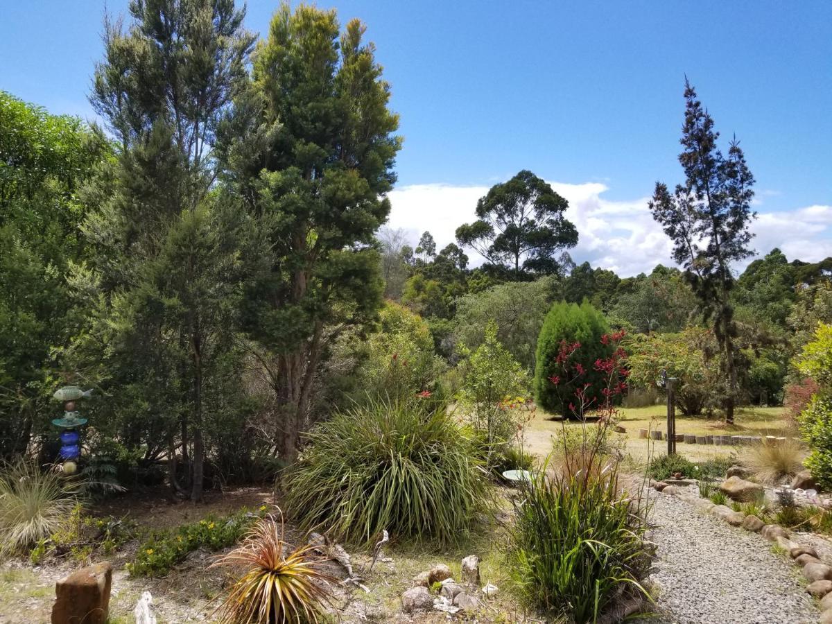 Southern Forest Accommodation Southport Buitenkant foto