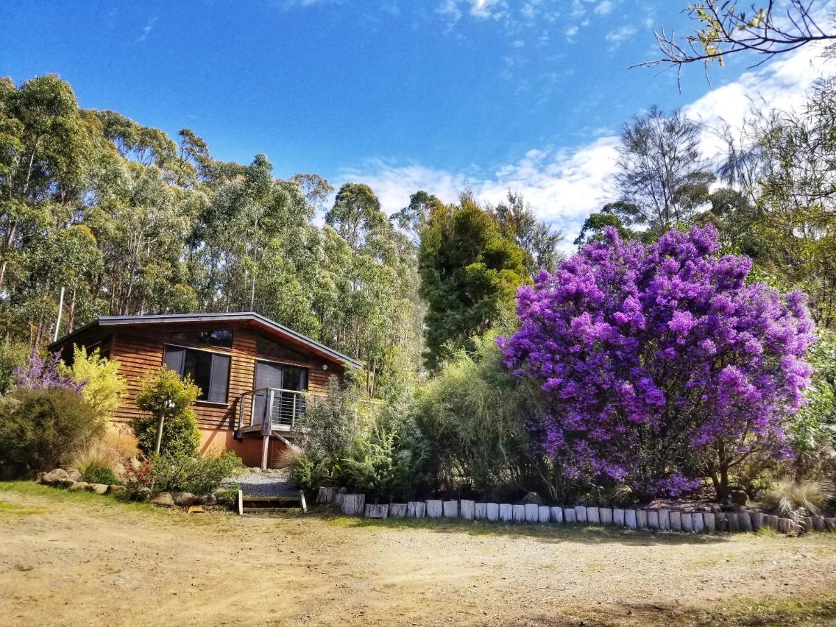 Southern Forest Accommodation Southport Buitenkant foto